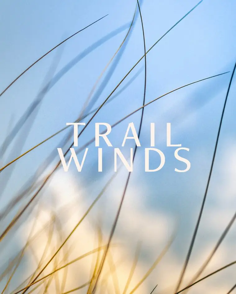 Trailwinds brand work by Studio Parkside