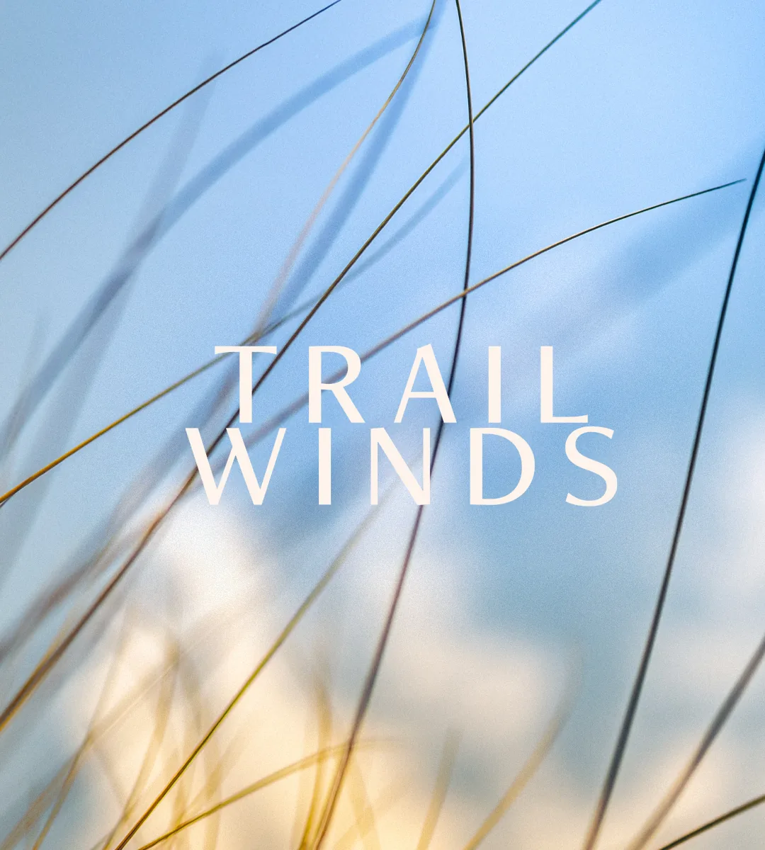 Trailwinds brand work by Studio Parkside