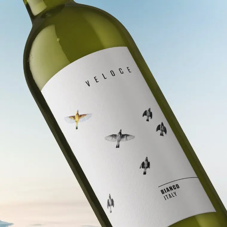 Veloce brand work by Studio Parkside